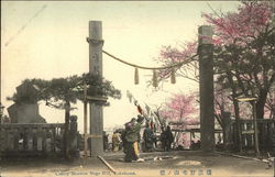 Cherry Blossom, Noge Hill Postcard