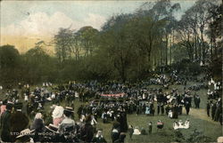 Stonelaw Woods Postcard