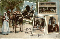 Souvenir from Algeria Postcard