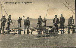 Ostronfiske pa is i Stigfjorden Postcard