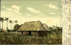 The Cuban Bohio Postcard
