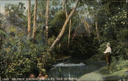 Stock #469042 Thumbnail