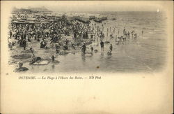 The Beach and Bathers Postcard