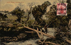 Rustic Bridge Ohakuna, New Zealand Postcard Postcard