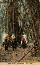 Three Men on Horses Under the Bamboo Trees Postcard