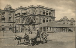 Bullock Cart on Corporation Street, Calcutta Postcard