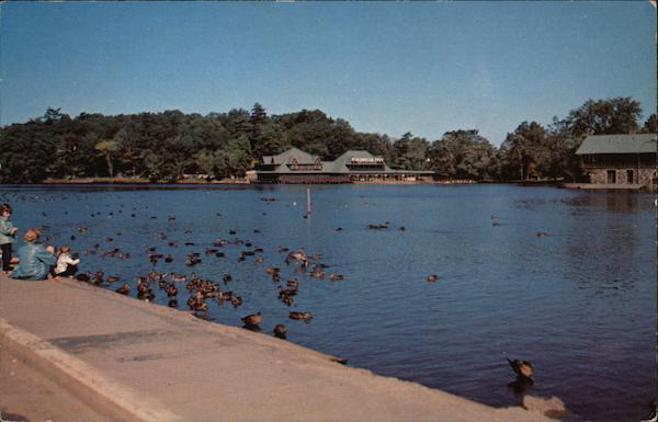 Norumbega Park - Duck Feeding Time Auburndale Massachusetts