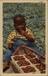 African American Toddler Eating Strawberries Postcard
