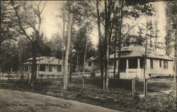 View at the Park Postcard