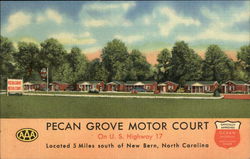 Pecan Grove Motor Court Postcard