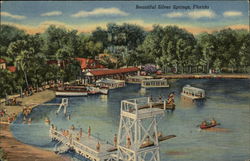 Beautiful Silver Springs, Florida Postcard