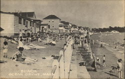 Bathers along the Beach Ocean Grove, MA Postcard Postcard Postcard