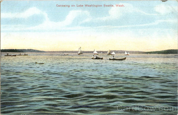 Canoeing On Lake Washington Seattle