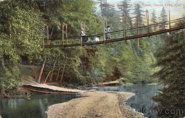 Swinging Bridge At Big Trees Santa Cruz California