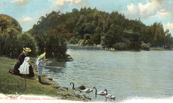 Feeding the Geese San Francisco California