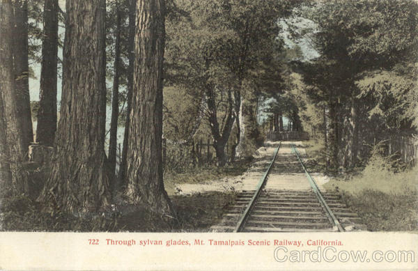 Through Sylvan Glades Scenic California