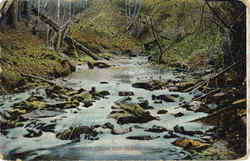 Sherman Creek Postcard