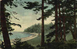 A Beach Scene near Seattle Tide Coming In Postcard