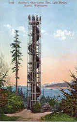 Gunther's Observation Tree , Lake Burrian Postcard