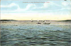 Canoeing On Lake Washington Seattle, WA Postcard Postcard