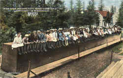 A Big Stick Holding Fifty Three Varieties At The University Of Washington Seattle, WA Postcard Postcard