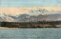 Mt. Constance And Olympic Mountains Postcard