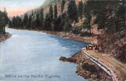 Scene On The Pacific Highway Scenic, WA Postcard Postcard
