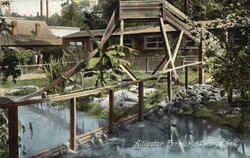Alligator Farm Hot Springs, AR Postcard Postcard