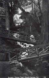 Bridges Zigzag Trail Shasta Springs, CA Postcard Postcard