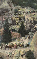 Zigzags Of The Yosemite Trail Postcard