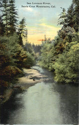 San Lorenzo River Postcard