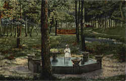 Mineral Springs Park Postcard
