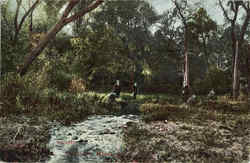 Scene at Owatonna Postcard