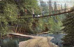 Swinging Bridge At Big Trees Postcard