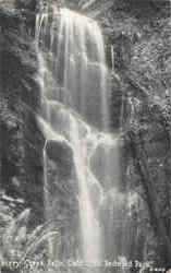 Berry Creek Falls, California Redwood Park Postcard