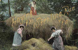 Haying In Sterling Run Postcard