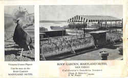 Victoria Crown Pigeon Postcard