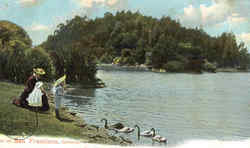 Feeding the Geese Postcard