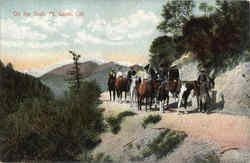 On The Trail Mount Lowe, CA Postcard Postcard