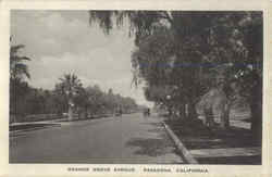 Orange Grove Avenue Postcard