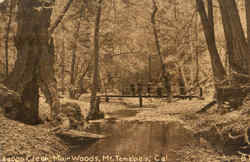 A Goon Creek Mount Tamalpais, CA Postcard Postcard