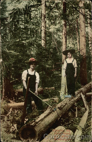 Women Clearing the Homestead for Father Washington