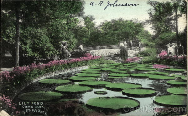 Lily Pond, Como Park St. Paul Minnesota A. R. Johnson
