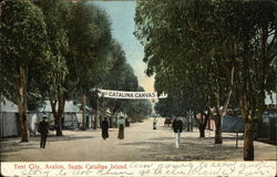 Tent City Postcard