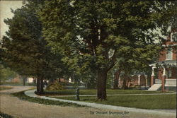 View of The Crescent Postcard