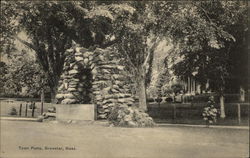 View of the Town Pump Postcard