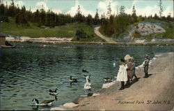 Children and Geese on the Shoreline at Rockwood Park Saint John, NB Canada New Brunswick Postcard Postcard Postcard