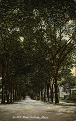 Tree Lined View of Bartlett Road Winthrop, MA Postcard Postcard Postcard