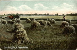 Workers in a Field of Oats Postcard