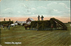 Workers in the Hayfield Houlton, ME Postcard Postcard Postcard